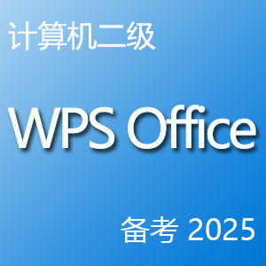 计算机二级 wps office