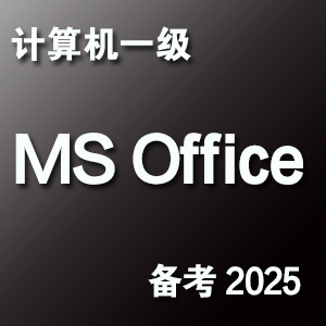 计算机一级 ms office