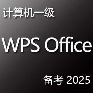 计算机一级 wps office